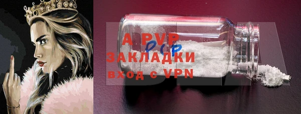 прущие грибы Лихославль