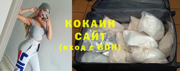 прущие грибы Липки