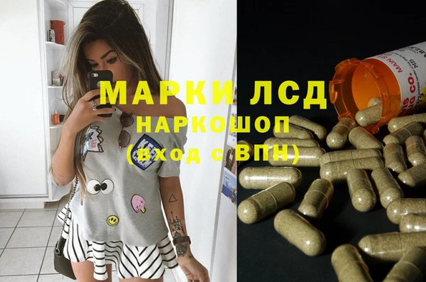 прущие грибы Липки